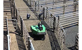 Cargill Cattle Driver Robot