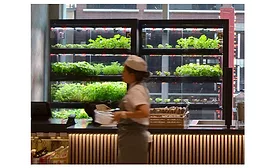 Farmshelf vertical farming