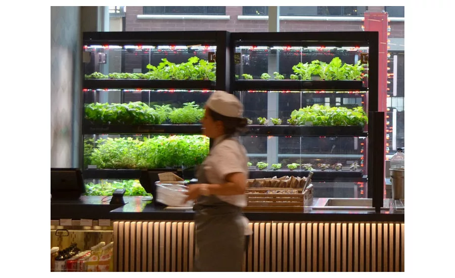 Farmshelf vertical farming