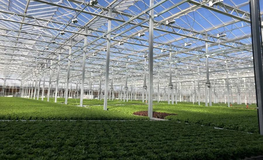 Gotham Greens Chicago greenhouse