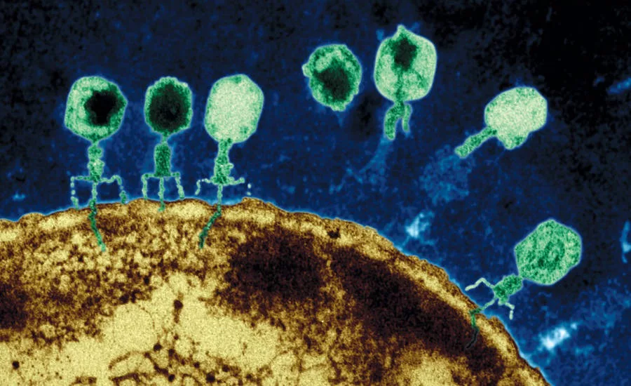 Micreos PhageGuard