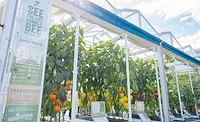 NatureFresh Greenhouse Education Center