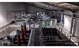 Sixty South salmon hatchery