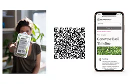 Square Roots Transparency Timeline