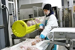 Universal Pure Worker loading HPP meats