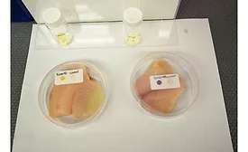 Clarkson University packaging sensors