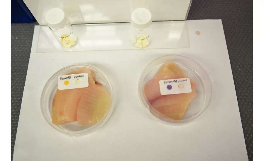 Clarkson University packaging sensors