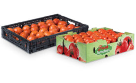 Corrugated Packaging Alliance tomatoes pkg