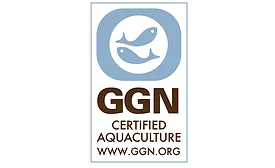 GLG GGN consumerlab el