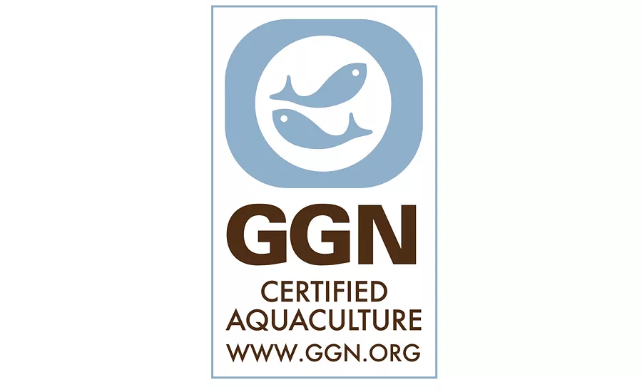 GLG GGN consumerlab el