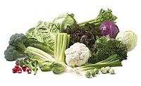 Growers Express fresh veggies