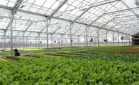 BrightFarms greenhouse