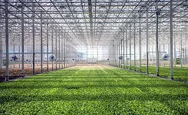BrightFarms OH greenhouse