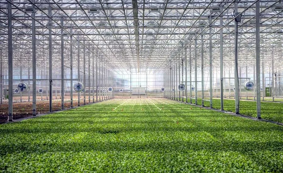 BrightFarms OH greenhouse