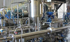 Titan Farms vegetable processing
