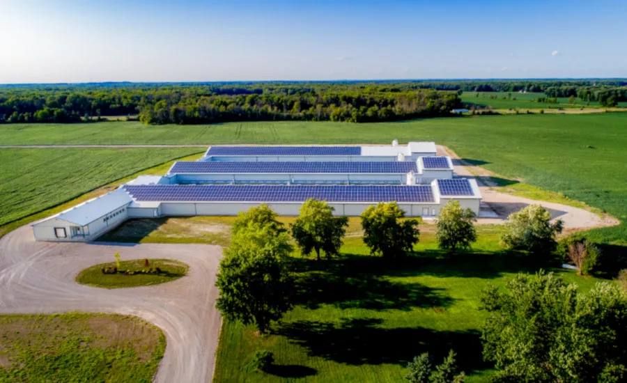 Burnbrae Solar Farm 