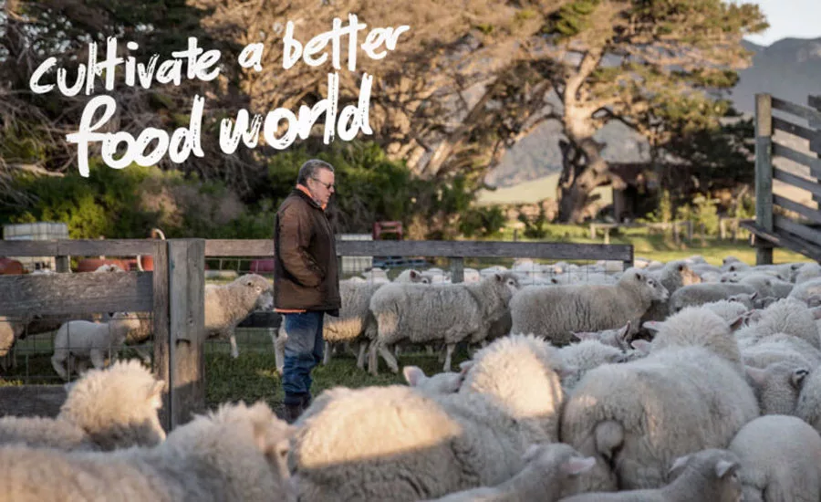 Flinders + Co carbon neutral