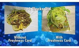 Food Freshness Card