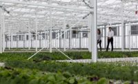 Lufa Farms greenhouse