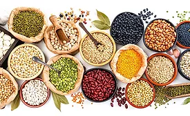 Plant-Based Proteins