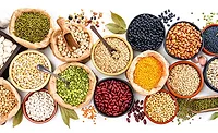 Plant-Based Proteins Plant-Based Proteins