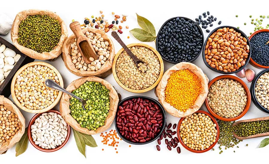 Plant-Based Proteins