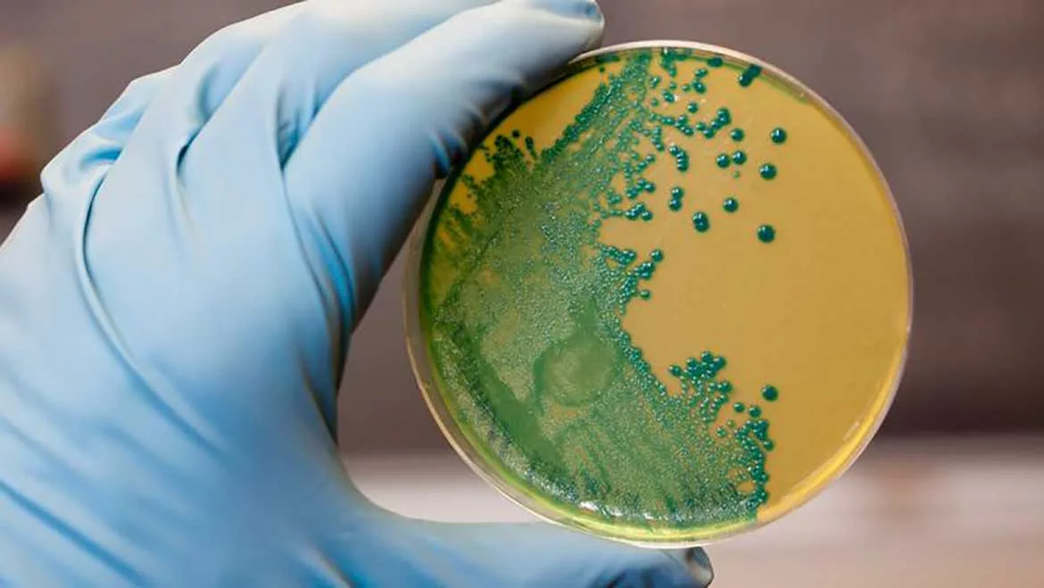 listeria