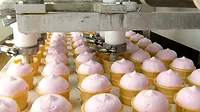Millennials, Innovation Drove Frozen Foods in 2021
