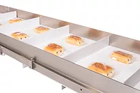 SustainSanitary Conveyor For End-Of-Line Packaging