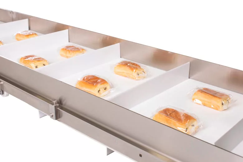 SustainSanitary Conveyor For End-Of-Line Packaging