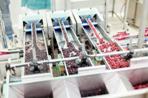Frozen Foods Processors Report