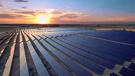 Solar farm