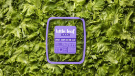 Little Leaf Farms Sweet Baby Butter Leaf Lettuce 