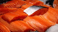Salmon