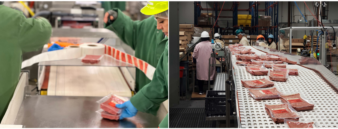 Pet food processing line