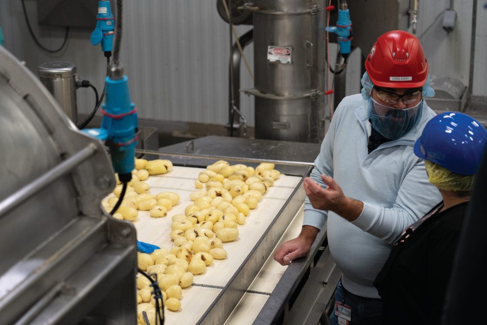 Director of Manufacturing Operations With Potatoes