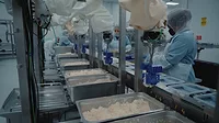 Cafe Spice Production Line