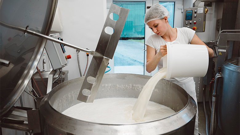 A woman worker is pouring milk into a large industrial-sized pot at a dairy factory.