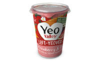 LeftYeovers frozen yogurt