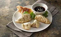 Schwan's Food Service potstickers