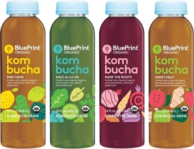 BluePrint Kombucha drinks