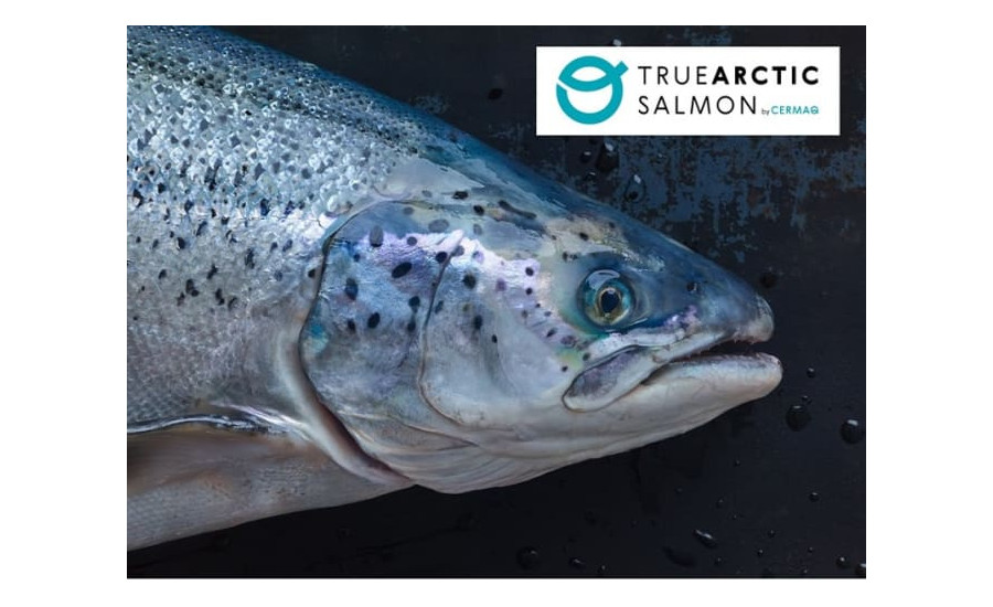 Cermaq True Arctic salmon