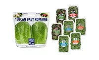 Church Brothers Farms Tuscan Baby Romaine