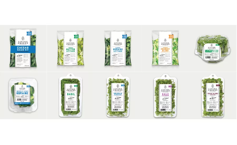 Living Greens Farm air-grown salads