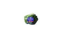 Tanimura & Antle organic produce 