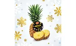 Holiday Labels Pineapple Del Monte