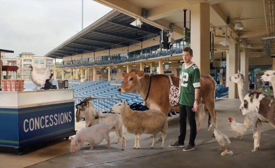 Super Bowl LV Concessions Snacks Farm Rich Frozen Foods Giveaway