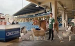 Super Bowl LV Concessions Snacks Farm Rich Frozen Foods Giveaway