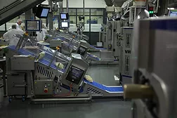Metal Detection