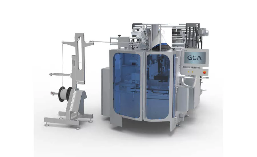 Frozen Foods Retail Bag Packaging Machine GEA